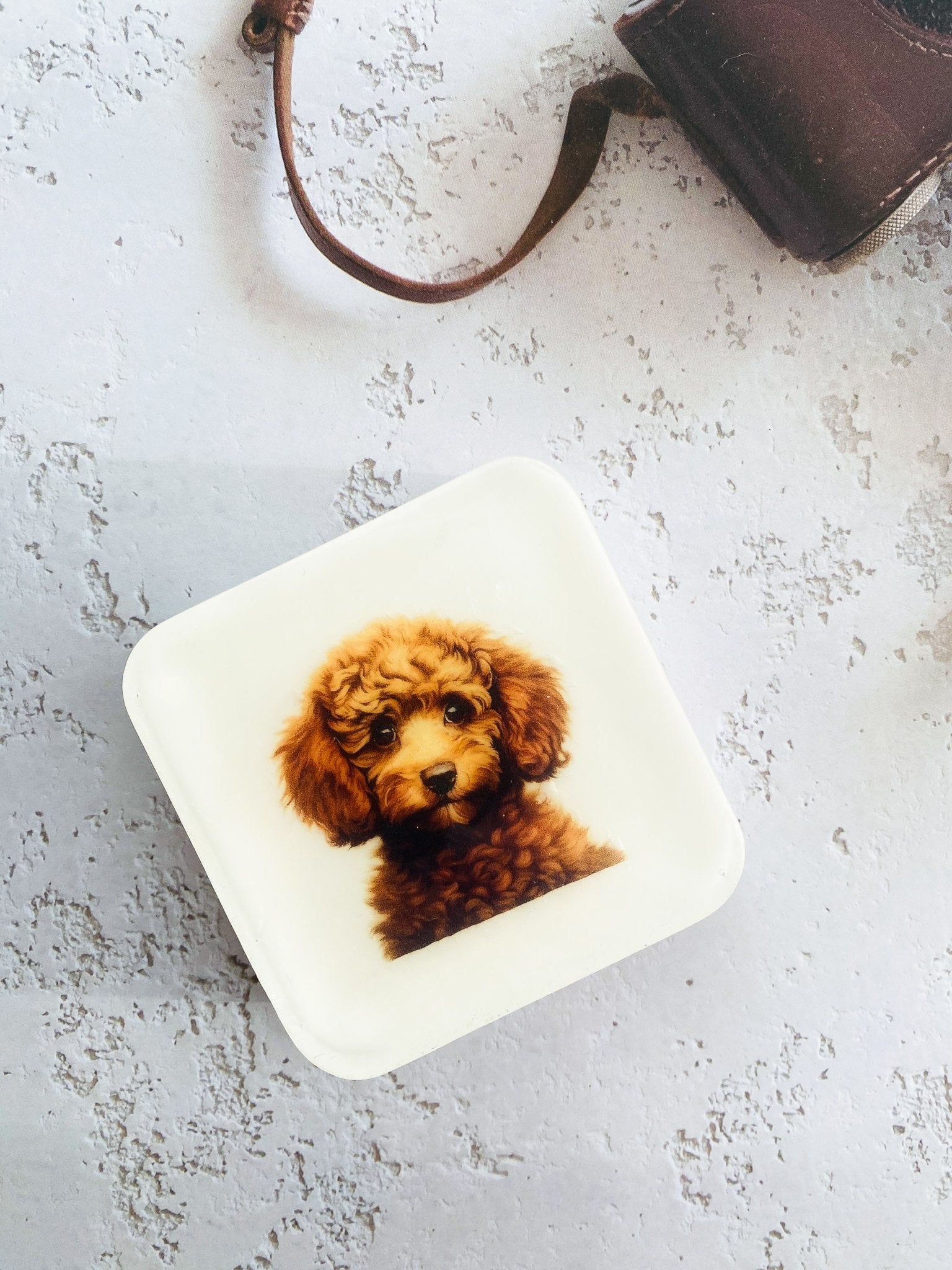 Handmade Artisan Soap，Furry Friends Collection – Cavoodle - Canine Charm - Tammi Home
