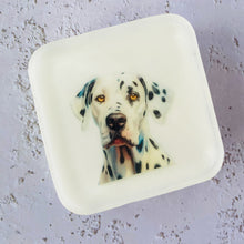 Handmade Artisan Soap，Furry Friends Collection – Dalmatian - Canine Charm - Tammi Home