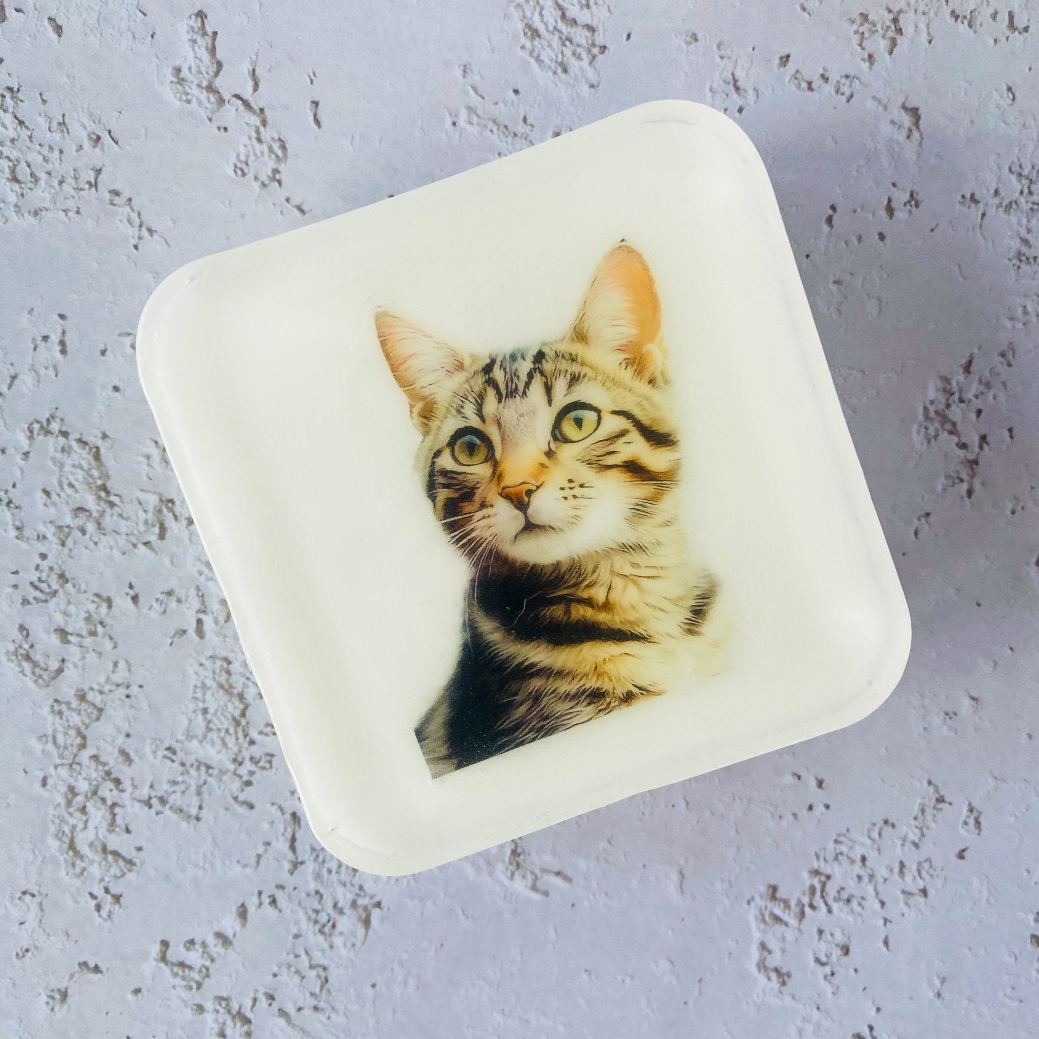 Handmade Artisan Soap，Furry Friends Collection – Domestic Shorthair - Whisker Wonders - Tammi Home