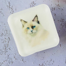 Handmade Artisan Soap，Furry Friends Collection – Ragdoll - Whisker Wonders - Tammi Home