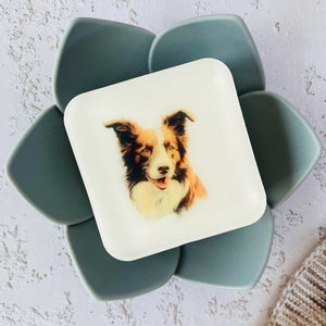 Handmade Artisan Soap，Furry Friends Collection – Border Colliee - Canine Charm - Tammi Home