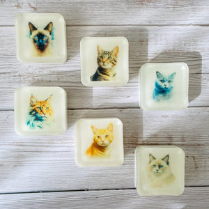 Handmade Artisan Soap，Furry Friends Collection – British Shorthair - Whisker Wonders - Tammi Home