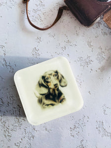 Handmade Artisan Soap，Furry Friends Collection – Dachshund - Canine Charm - Tammi Home