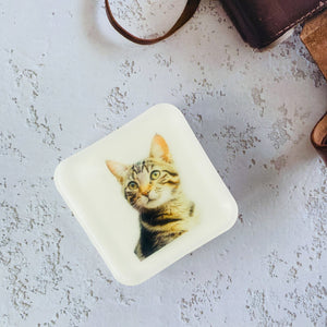 Handmade Artisan Soap，Furry Friends Collection – Domestic Shorthair - Whisker Wonders - Tammi Home