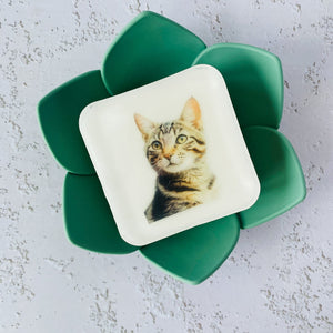 Handmade Artisan Soap，Furry Friends Collection – Domestic Shorthair - Whisker Wonders - Tammi Home