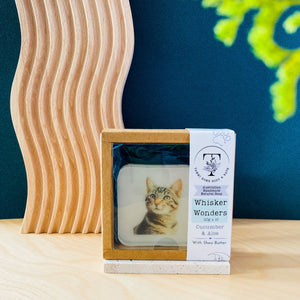 Handmade Artisan Soap，Furry Friends Collection – Domestic Shorthair - Whisker Wonders - Tammi Home