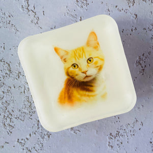 Handmade Artisan Soap，Furry Friends Collection – Domestic Shorthair - Whisker Wonders - Tammi Home