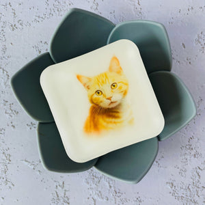 Handmade Artisan Soap，Furry Friends Collection – Domestic Shorthair - Whisker Wonders - Tammi Home