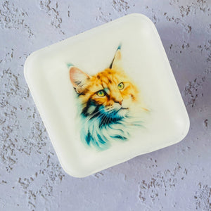 Handmade Artisan Soap，Furry Friends Collection – Maine Coon - Whisker Wonders - Tammi Home